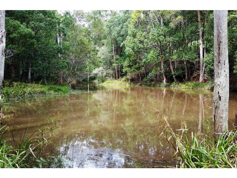 1 Aquilas Retreat, Palmvale NSW 2484