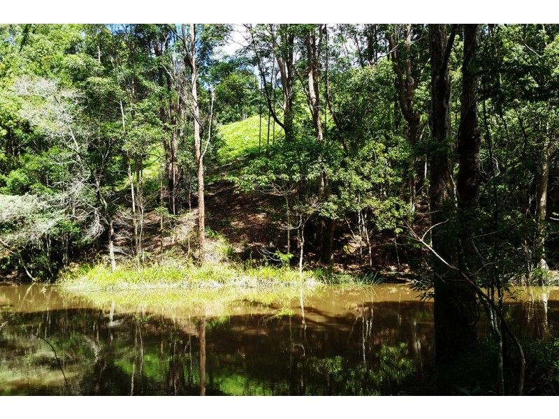 1 Aquilas Retreat, Palmvale NSW 2484