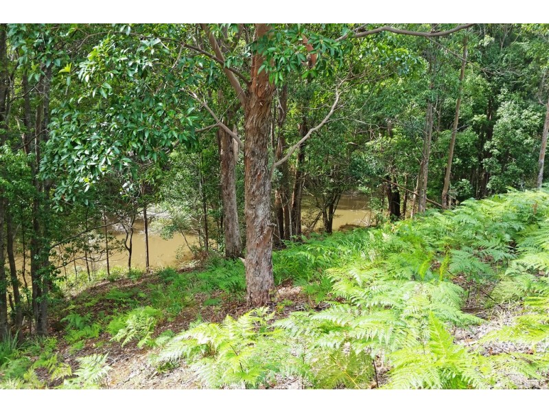 1 Aquilas Retreat, Palmvale NSW 2484