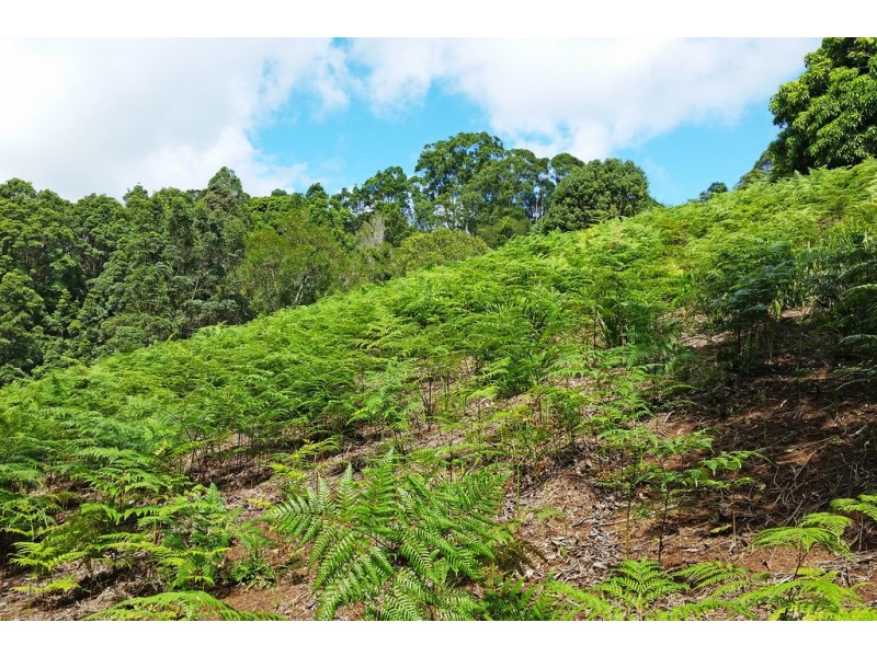 1 Aquilas Retreat, Palmvale NSW 2484