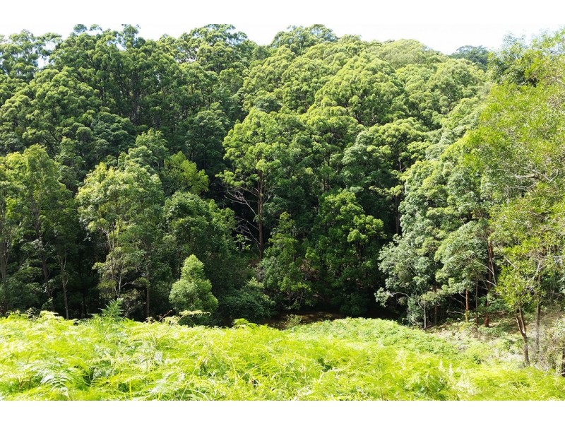 1 Aquilas Retreat, Palmvale NSW 2484