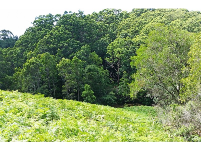 1 Aquilas Retreat, Palmvale NSW 2484