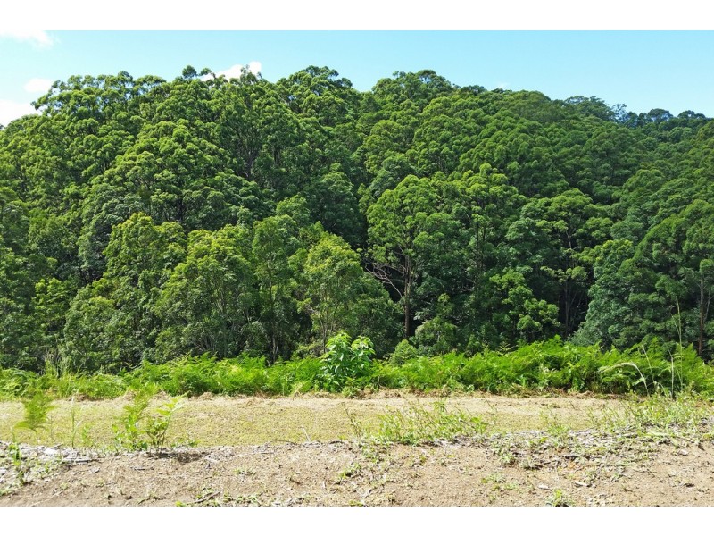 1 Aquilas Retreat, Palmvale NSW 2484