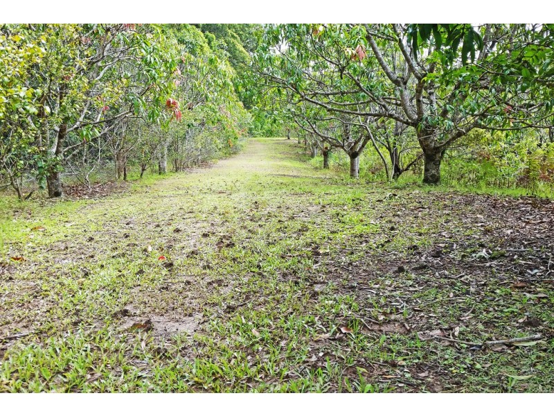 1 Aquilas Retreat, Palmvale NSW 2484