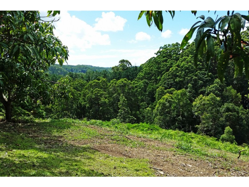 1 Aquilas Retreat, Palmvale NSW 2484