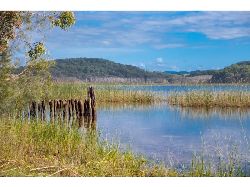 36/77 Tamarind Avenue, Cabarita Beach NSW 2488