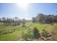 521 Round Mountain Road, Round Mountain NSW 2484