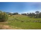 521 Round Mountain Road, Round Mountain NSW 2484