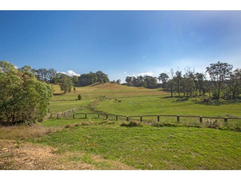 521 Round Mountain Road, Round Mountain NSW 2484