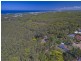 41 Muskheart Court, Pottsville NSW 2489