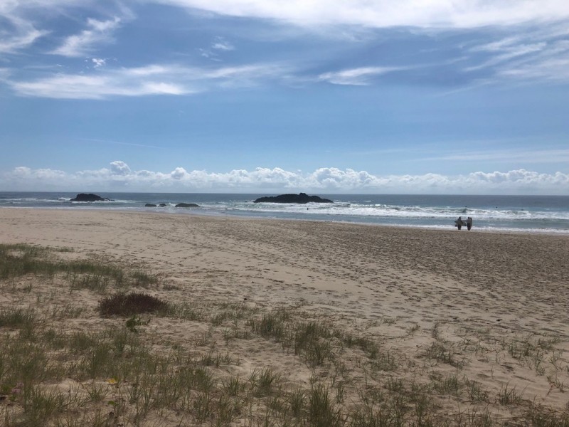 16 Hassett Drive, Pottsville NSW 2489