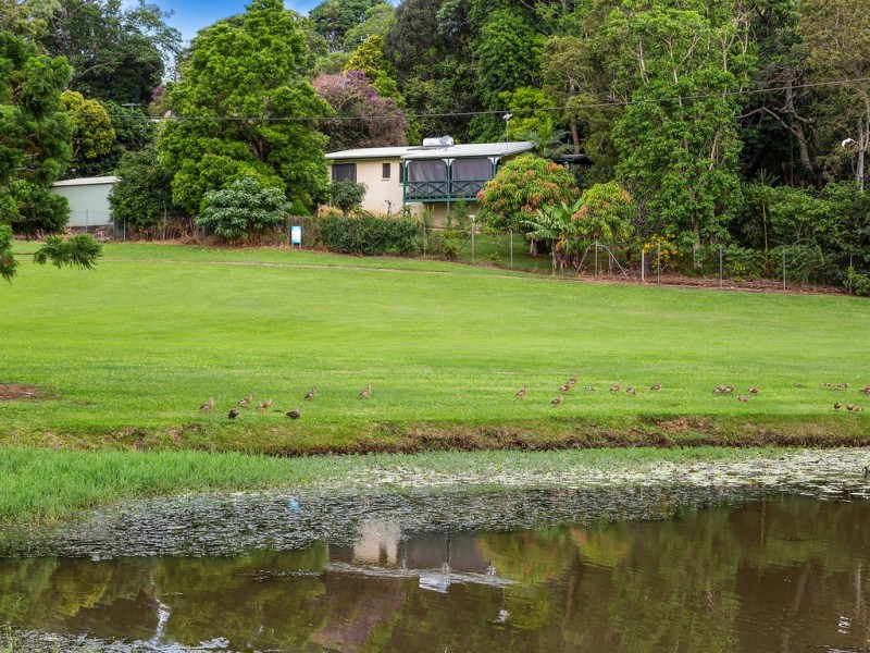 41 Hall Drive, Murwillumbah NSW 2484