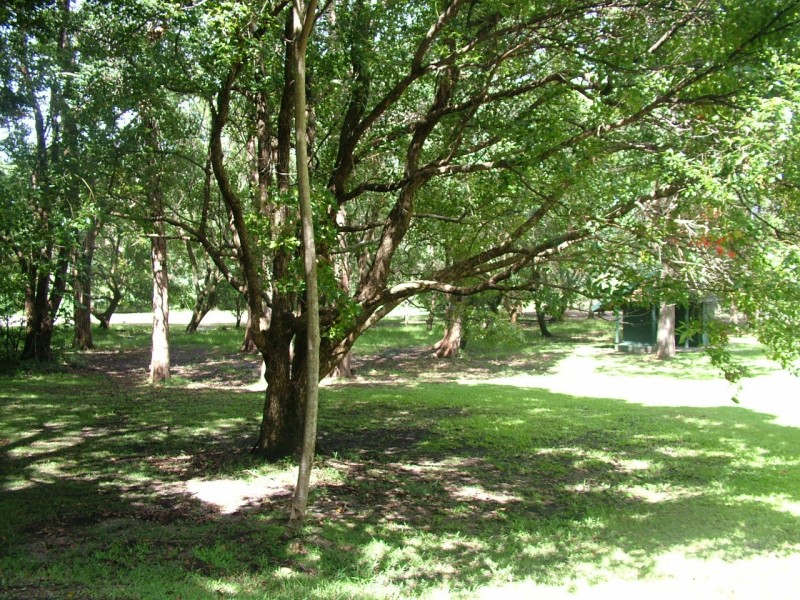 5/13 Tanglewood Drive, Cabarita Beach NSW 2488