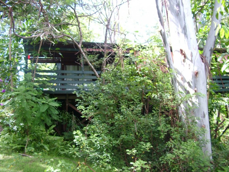 5/13 Tanglewood Drive, Cabarita Beach NSW 2488