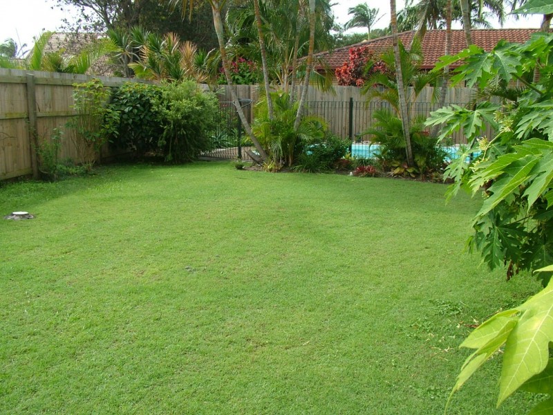 11 Poinciana Avenue, Cabarita Beach NSW 2488