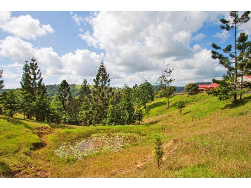 18 Pine Tree Place, Piggabeen NSW 2486