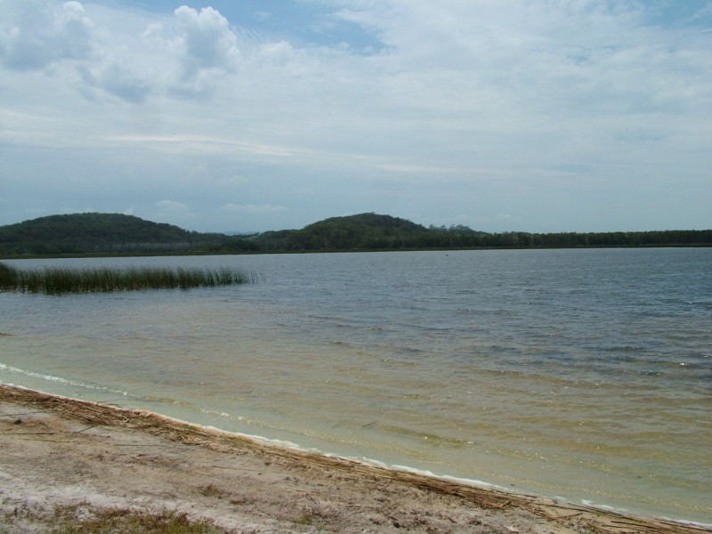 77 Tamarind Avenue, Cabarita Beach NSW 2488