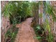 36 Ti Tree Avenue, Cabarita Beach NSW 2488