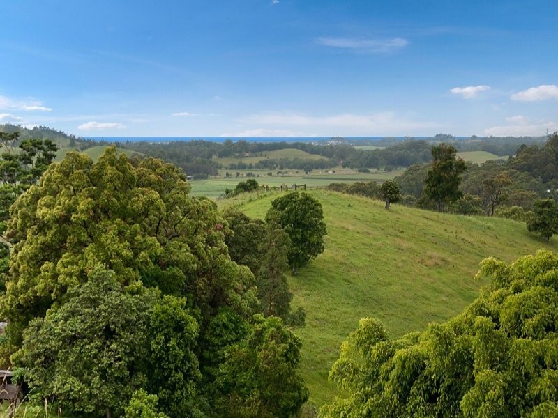 1006 Clothiers Creek Road, Clothiers Creek NSW 2484