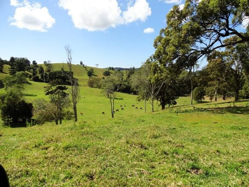 1006 Clothiers Creek Road, Clothiers Creek NSW 2484