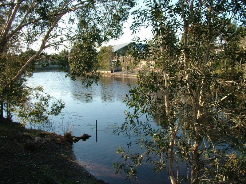 54 Cabarita Road, Cabarita Beach NSW 2488