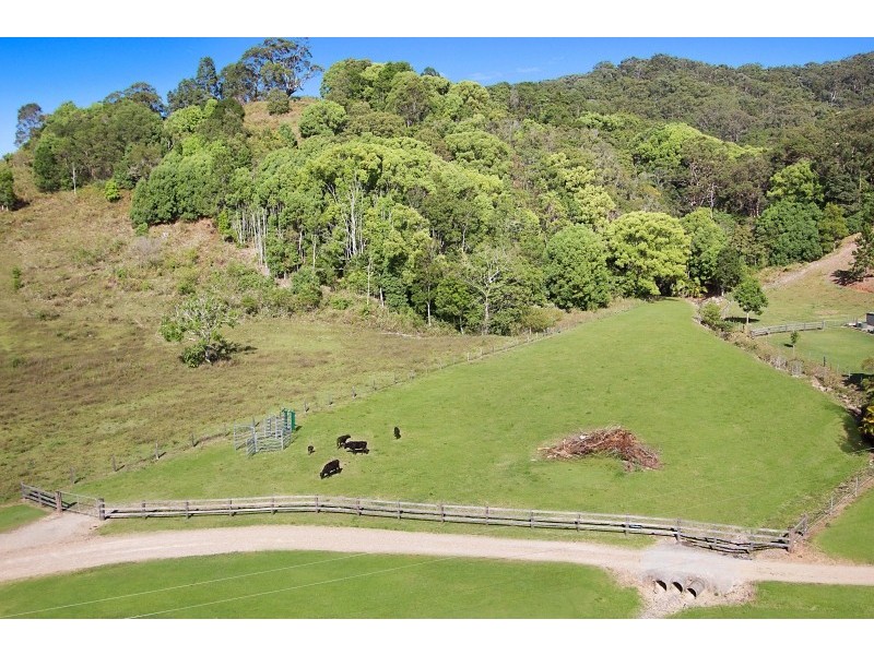 63 Cabbage Gum Road, Cudgera Creek NSW 2484