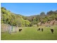 63 Cabbage Gum Road, Cudgera Creek NSW 2484