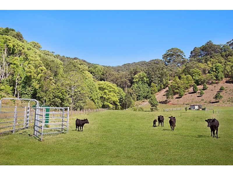 63 Cabbage Gum Road, Cudgera Creek NSW 2484