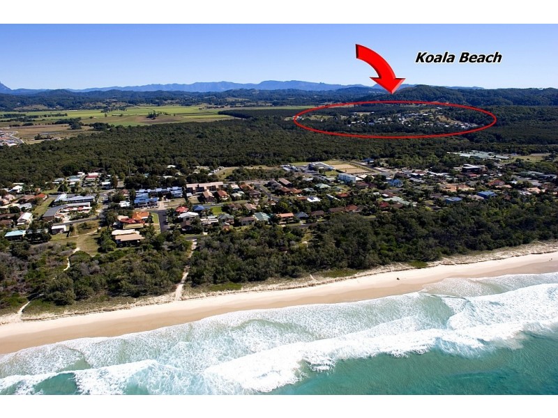 12 Brushtail Court, Pottsville NSW 2489