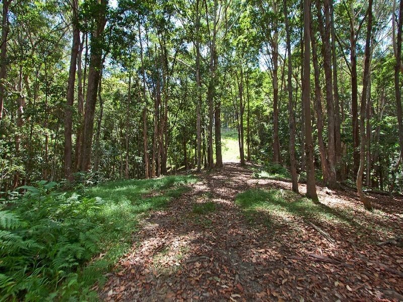 540 Duranbah Road, Duranbah NSW 2487