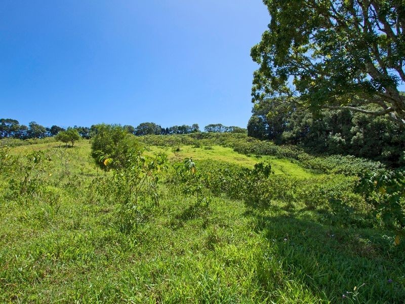 540 Duranbah Road, Duranbah NSW 2487