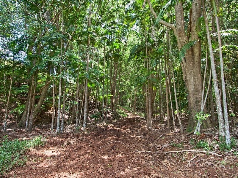 540 Duranbah Road, Duranbah NSW 2487