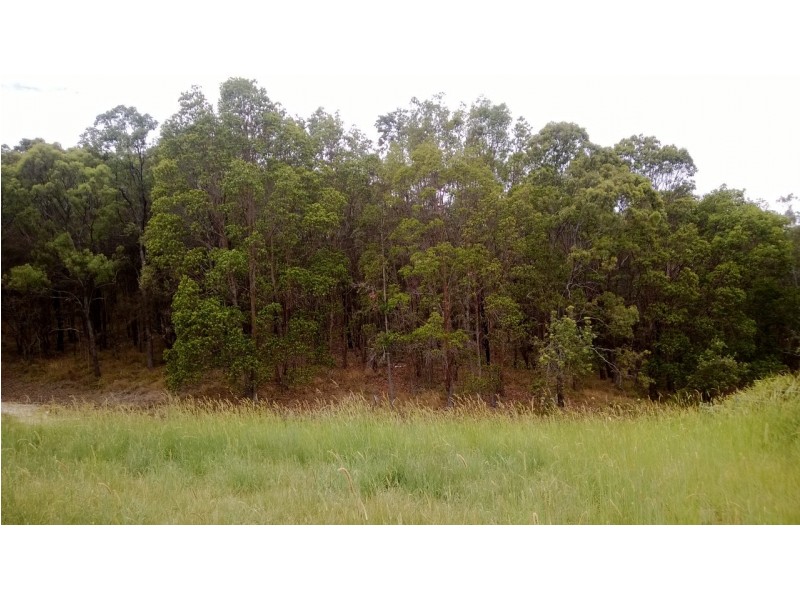 Lot 456 Bottlebrush Drive, Pottsville NSW 2489