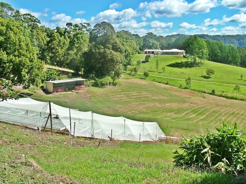 41 Warwick Park Road, Sleepy Hollow NSW 2483