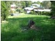 3 Hibbertia Court, Pottsville NSW 2489