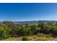 102 Farrants Hill Road, Farrants Hill NSW 2484