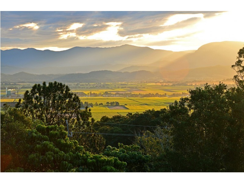102 Farrants Hill Road, Farrants Hill NSW 2484