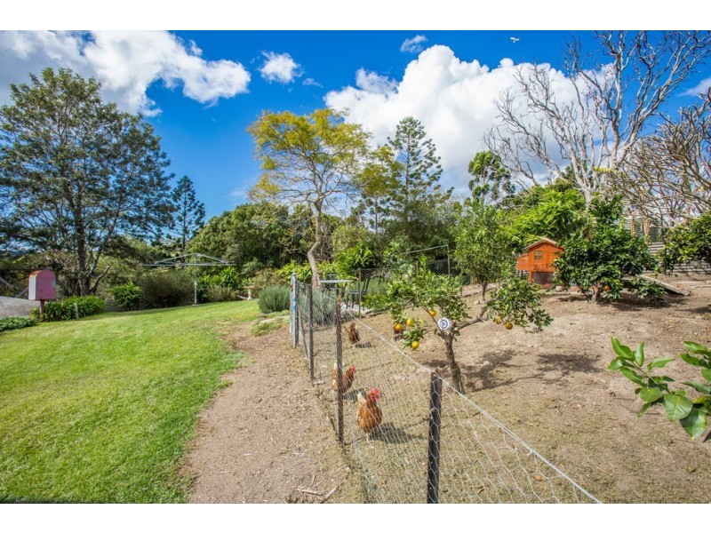 768 Clothiers Creek Road, Clothiers Creek NSW 2484