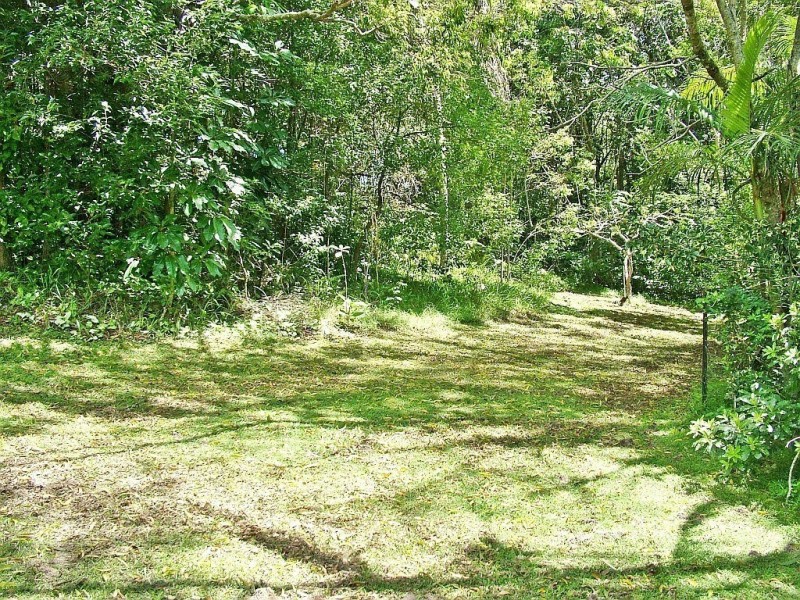 36 Yandala Place, Clothiers Creek NSW 2484