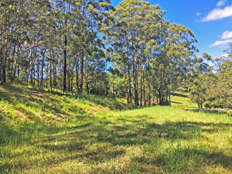 12 North Hill Court, Tanglewood NSW 2488