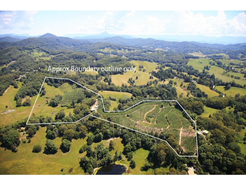 1727 Reserve Creek Road, Cudgera Creek NSW 2484