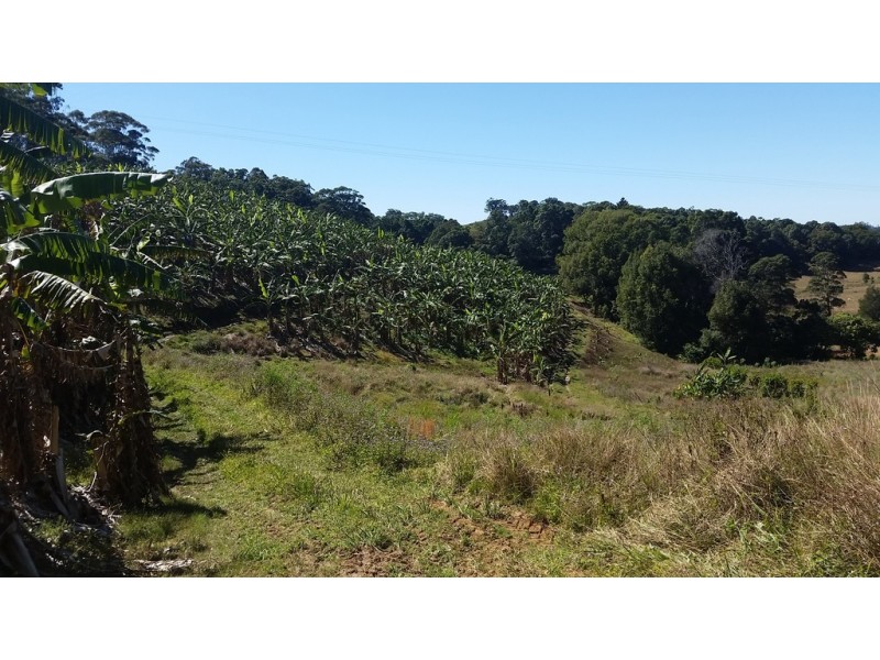 1727 Reserve Creek Road, Cudgera Creek NSW 2484