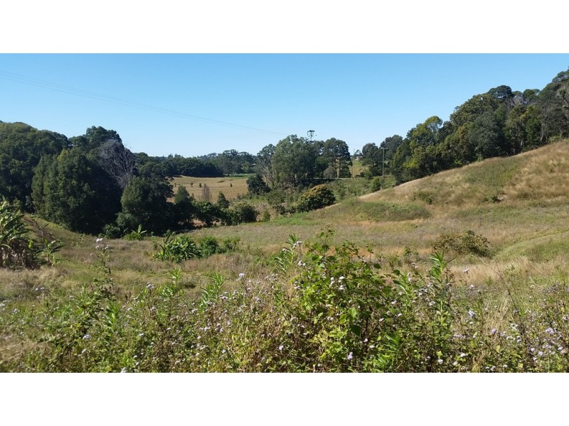 1727 Reserve Creek Road, Cudgera Creek NSW 2484