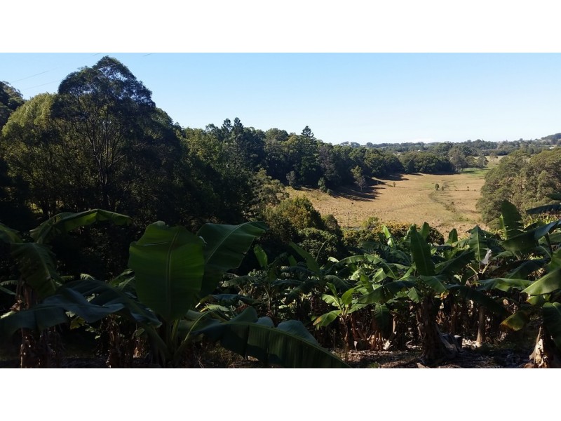 1727 Reserve Creek Road, Cudgera Creek NSW 2484