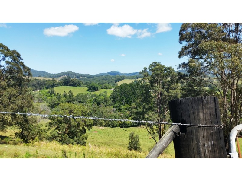 61 Kanes Road, Cudgera Creek NSW 2484