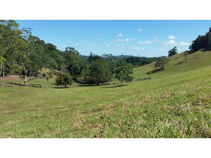 61 Kanes Road, Cudgera Creek NSW 2484