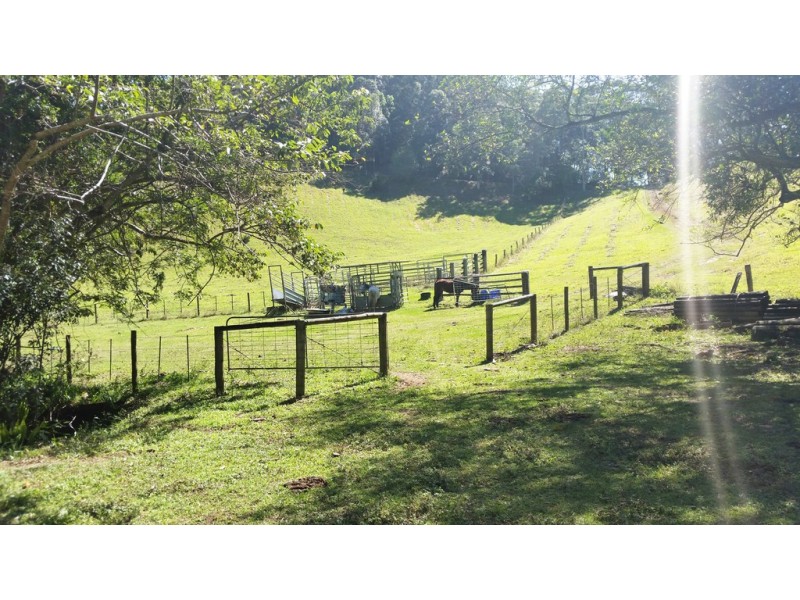 61 Kanes Road, Cudgera Creek NSW 2484