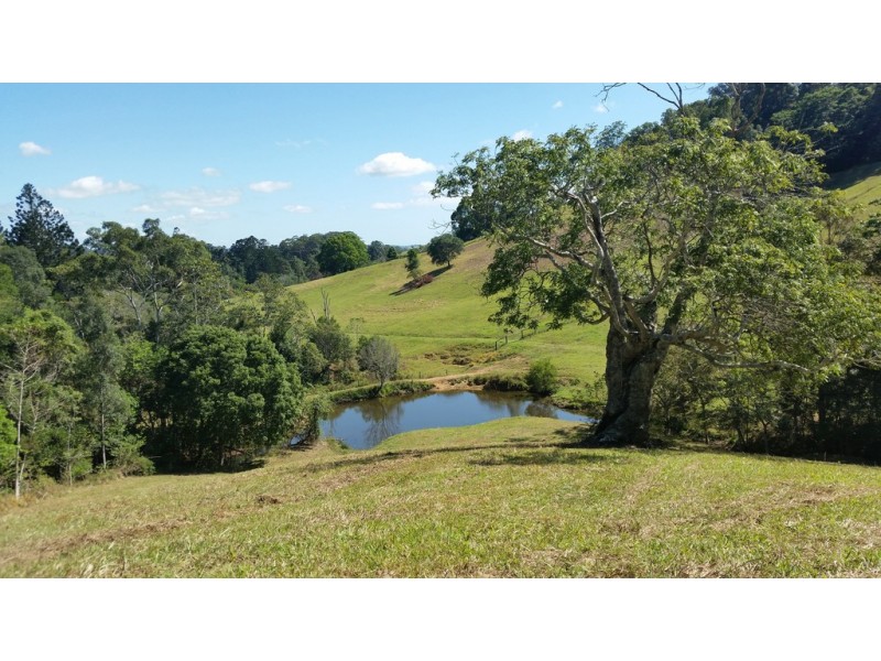 61 Kanes Road, Cudgera Creek NSW 2484