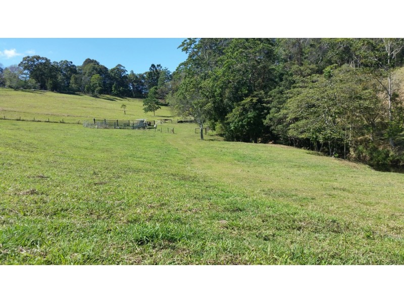 61 Kanes Road, Cudgera Creek NSW 2484