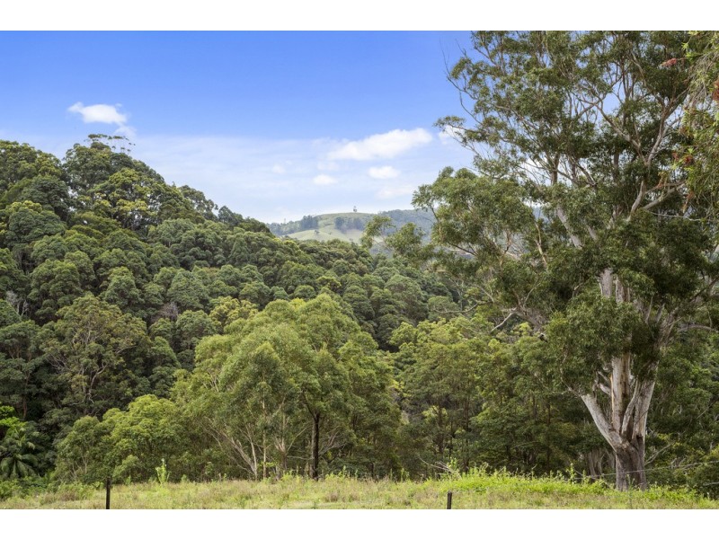 61 Kanes Road, Cudgera Creek NSW 2484